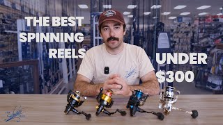 The Best Saltwater Spinning Reels Under 300  The Saltwater Edge [upl. by Garrison]