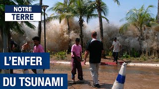 Lhorreur dun Tsunami  Thaïlande sous les eaux  Documentaire Environnement  AMP [upl. by Annaihr]