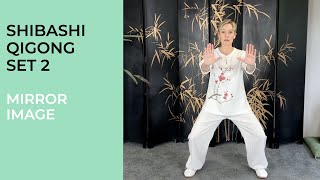 Taiji Shibashi Qigong Set 2 [upl. by Gniliem]