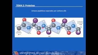 Tema 25 Niveles estructurales UMH1003 201516 [upl. by Haimirej]