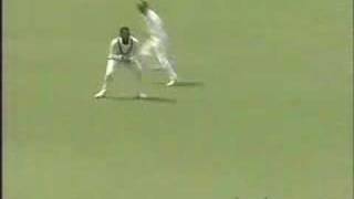 West Indies vs Australia 5th test 1993 part 1of3 [upl. by Lokin170]