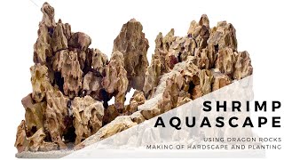 Shrimp Aquascape Using Dragon Rocks  Making of the hardscape and planting [upl. by Kearney]