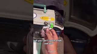 fishtok fishing bass catfish glide bait whopper plopper lures fish blue gill [upl. by Aihsenyt266]