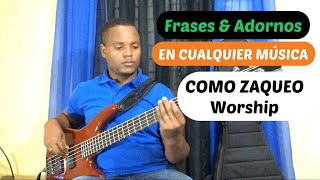 COMO ZAQUEO ADORNOS amp FRASES QUE PUDES APLICAR EN CUALQUIER MÚSICA  intermedio amp básico [upl. by Martinez]