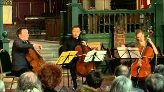 DOTZAUER Pieces for Three Cellos op104 Harwood  Tal  Zlotnikov [upl. by Nidak]