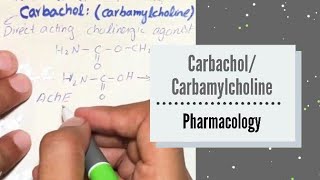 CARBACHOLCARBAMYLCHOLINE  Direct Acting Cholinergic Agonist  Pharmacology [upl. by Scholem]