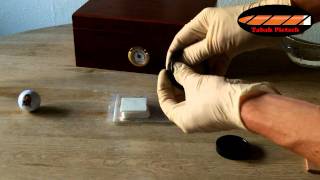 Humidor einrichten  How to set up a Humidor [upl. by Acquah]