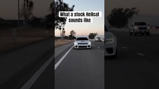 What a STOCK HELLCAT sounds like 🤯 dodge dodgecharger hellcat hellcatclub shorts [upl. by Margarita]