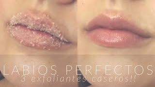 Labios perfectos TRES exfoliantes caseros  ANIIE’S DIARIES [upl. by Wiltshire]