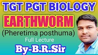 Earthworm  Pheretima posthuma Full lecture TGT PGT BIOLOGY Phylum AnnelidaBiology by BRSir [upl. by Onirefes543]