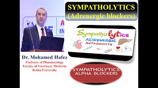 AUTONOMIC Part 2 Alpha Adrenergic Blockers [upl. by Orazio226]