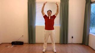 Lin Housheng Shibashi Movement Sample 4 [upl. by Nella518]