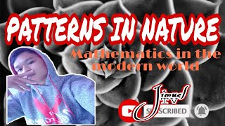 PATTERNS IN NATURE  MATHEMATICS IN THE MODERN WORLD  EDUCATION VLOG 2 [upl. by Lesig329]