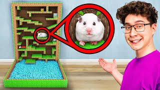 I Built a Minecraft Maze for my Hamster [upl. by Amethist]