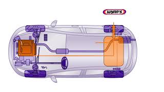 Limpieza de Inyectores Wynns Evita el uso excesivo de combustible [upl. by Kristofor]