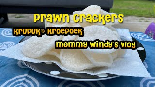 Prawn Crackers Krupuk Kroepoek [upl. by Macintyre]