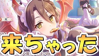 【プリコネR】情け容赦のないヴルムちゃん実装がプレイヤーたちを襲う！！！【プリコネ】 [upl. by Notxed]