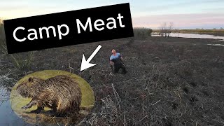 Fishing turned Nutria hunt Venice Louisiana [upl. by Maison]