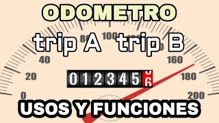 ODOMETRO TRIPA TRIPB USOS Y FUNCIONES [upl. by Nalehp44]