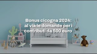 Bonus cicogna 2024 al via le domande per i contributi INPS da 500 euro [upl. by Amek]