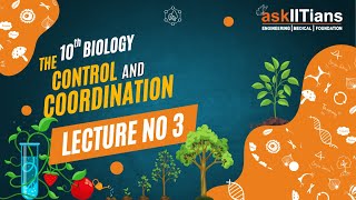 Types of nerve cells  Lecture3  Control and coordination  Grade 10  Biology  Olympiads [upl. by Rodl]