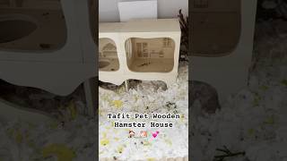 Tafit Pet Wooden Hamster Chamber House 🏡 🐹 🪵 discovered some new features today 🤩 [upl. by Francisca]