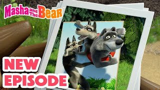 Masha and the Bear 2024 🎬 NEW EPISODE 🎬 Best cartoon collection 🐺 Cardboard savers ✂️📦 [upl. by Venetia]