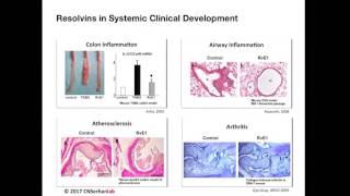 Charles Serhan  Resolvins and ProResolving Receptor Mechanisms in Inflammation and Infections [upl. by Notselrahc]