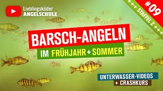 Barsch Angeln im Frühjahr  Sommer 🎣 Staffel 2 Folge 9 [upl. by Leonard411]