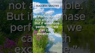 Chasing Excellence Embracing Imperfection [upl. by Pompea]