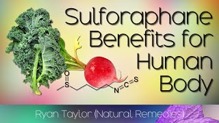 Sulforaphane Benefits for Health [upl. by Melanie245]