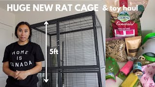 PET RAT HAUL amp upgrading to a double critter nation rat cage [upl. by Katherine]