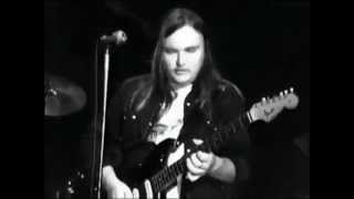 Lynyrd Skynyrd  complete concert from Winterland 1975 [upl. by Tyson]