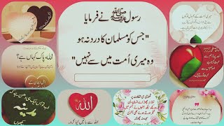 Zareen new 😭🙏🤲 urdu quotes collection  islamic quotes in urdu and hindi golden wordsislami [upl. by Kcirdnekel]