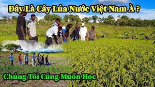 Quang Dũng  Các Anh Thợ Xây Cũng Rất Muốn Làm Nông Nghiệp Khi Lần Đầu Tiên Được Nhìn Thấy Cây Lúa [upl. by Aseram]