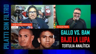 Gallo Estrada vs Bam Rodriguez Bajo la Lupa Pilatti en Total Box [upl. by Worthy801]