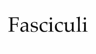 How to Pronounce Fasciculi [upl. by Suravart]