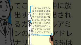 【看護師国家試験の深掘り学習】神経伝達物質の役割―神経⑩＃Shorts｜吉田ゼミナール [upl. by Etteval]