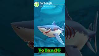 Porbeagle 1  Hungry Shark World [upl. by Bowman]