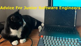 Advice For Junior Software Engineers [upl. by Ataga]