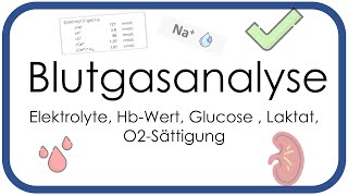 Blutgasanalyse  Elektrolyte HbWert Glucose  Laktat O2Sättigung  Teil 3 [upl. by Leahkim]