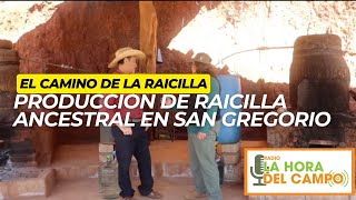 Producción de Raicilla Ancestral en San Gregorio Mixtlán Jalisco [upl. by Dane415]