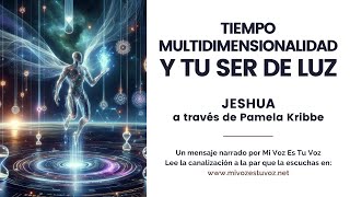 EL TIEMPO LA MULTIDIMENSIONALIDAD Y TU SER DE LUZ — Jeshua a través de Pamela Kribbe [upl. by Neenej449]