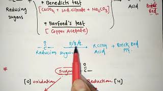 ONE LINER  PART  31  BIOCHEMISTRY  CARBOHYDRATE TESTS  RAJSTAN PHARMACIST  RRB  ESIC  GPAT [upl. by Leschen]