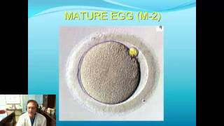 Webinar  Geoffrey Sher MD  IVF Stimulation Protocols [upl. by Nonregla]