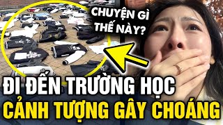 Du học sinh Việt ở Hàn Quốc CHOÁNG VÁNG khi đến trường thấy cảnh tượng HỖN LOẠN  Tin 3 phút [upl. by Humbert89]