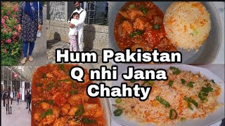 Chicken Shashlik 100  Original Restaurant style Recipe Pakistan Q nhi jana chahaty 😭😭😭 [upl. by Zaccaria465]