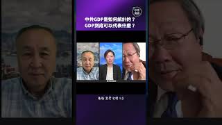 中共GDP是如何統計的？GDP到底可以代表什麼？ 梁珍 珍言真語 中共 GDP 中國經濟 吳文昕 [upl. by Anna]