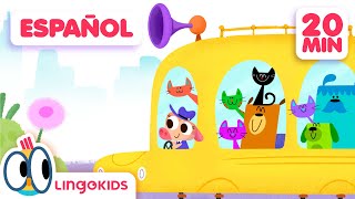 El DÍA INTERNACIONAL DEL GATO 🐈 💕 Canciones Infantiles  Lingokids en Español [upl. by Evannia984]