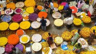 Flower market in festival Vibes  K R Market Bangalore [upl. by Aura135]